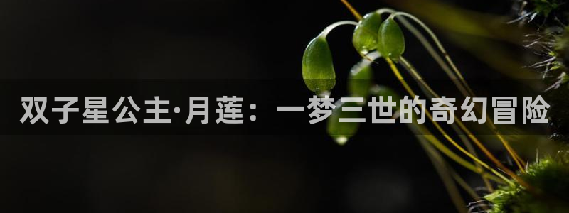 汗汗漫画大全免费：双子星公主·月莲：一梦三世的奇幻冒险