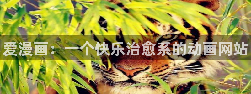 汗汗漫画cc：爱漫画：一个快乐治愈系的动画网站