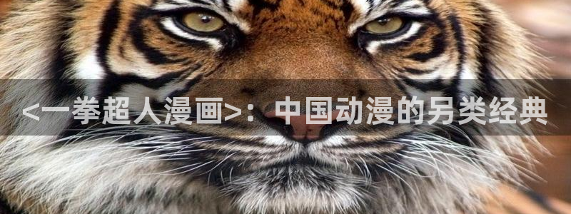 汗汗漫画网首页：<一拳超人漫画>：中国动漫的另类经典