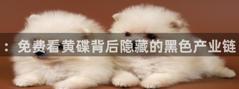 汗汗漫画网app下载：：免费看黄碟背后隐藏的黑色产业链