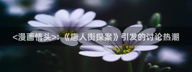 汗汗漫画网站在线：<漫画情头>: 《唐人街探案》引发的讨论热潮