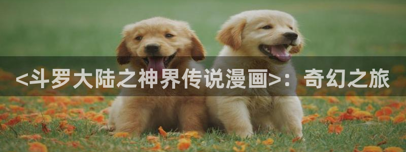 汗汗漫画免费漫画在线看：<斗罗大陆之神界传说漫画>：奇幻之旅