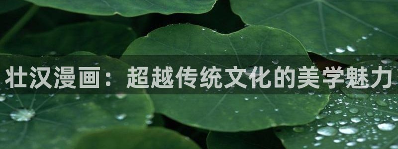 歪歪汗汗漫画虫虫：壮汉漫画：超越传统文化的美学魅力