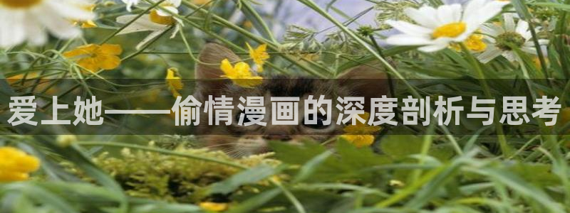 汗汗漫画最新：爱上她——偷情漫画的深度剖析与思考